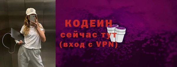стаф Няндома