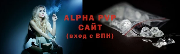 амф Новодвинск