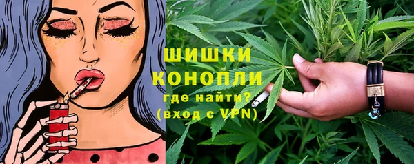 стаф Няндома