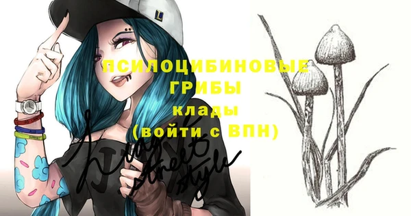 стаф Няндома