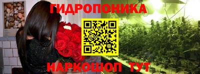 стафф Кимры