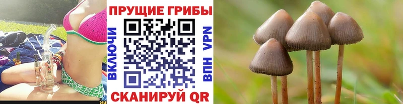 Псилоцибиновые грибы MAGIC MUSHROOMS  Югорск 