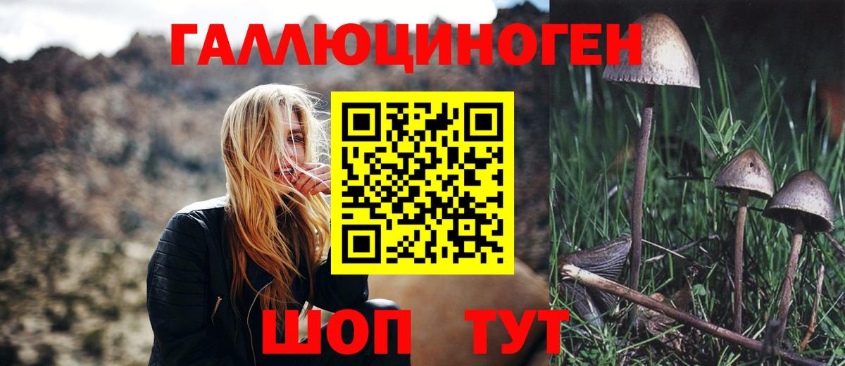 Псилоцибиновые грибы ЛСД  Югорск 